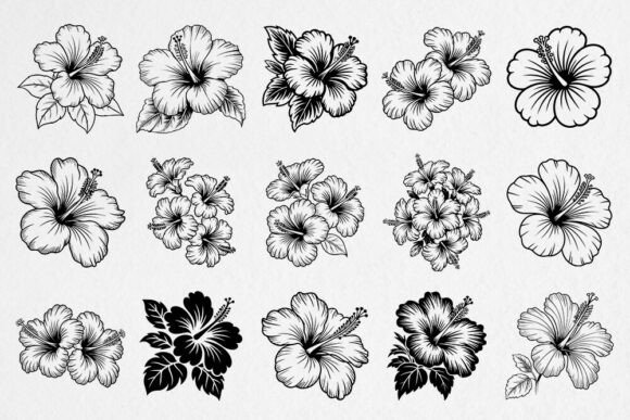 Download Hibiscus Flower SVG Bundle - Svg bundle Collection